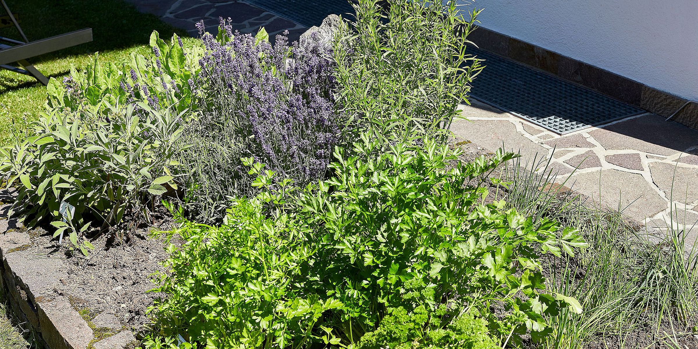 Kräutergarten Hotel Erhart Sölden